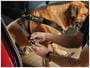WeatherTech Pet Restraint